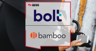 Bolt and Bamboo image 1