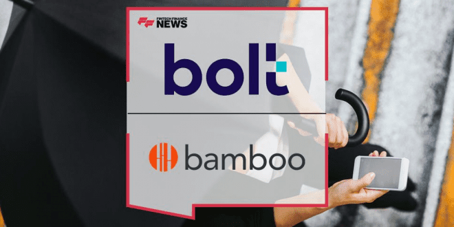 Bolt and Bamboo image 1